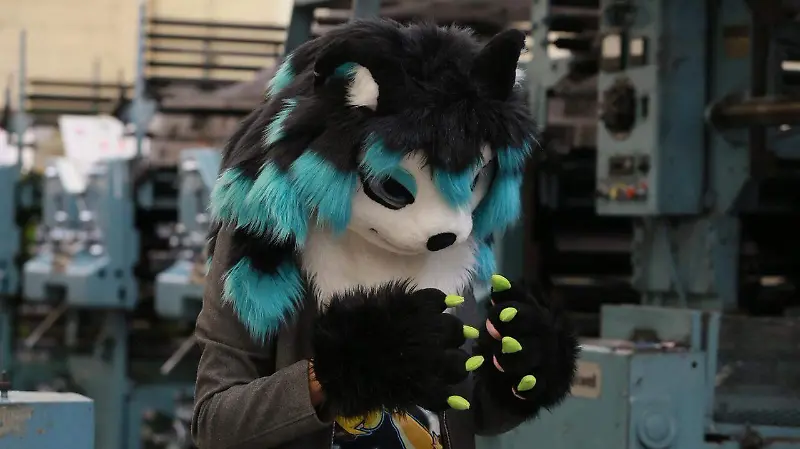 Furros, una combinación entre la creatividad y el arte